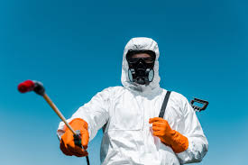 Best Fumigation Services  in Groveport, OH